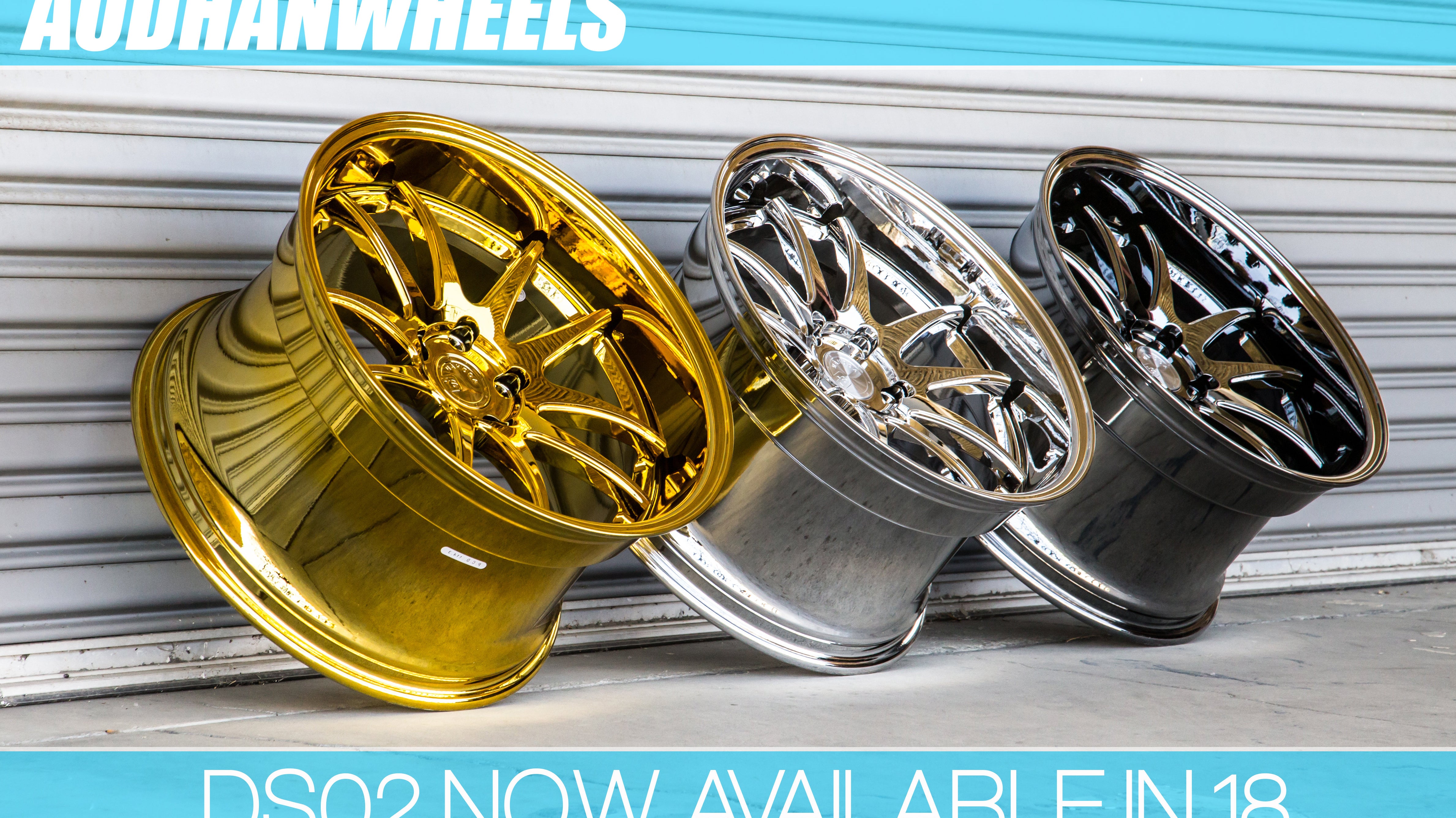 The DS02 In 18" Ready For Pre-order!