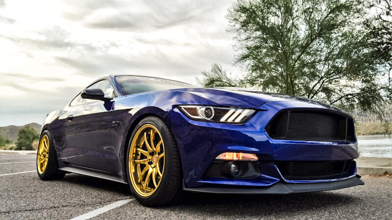 Mustang GT with Brembo brakes? No Problem!